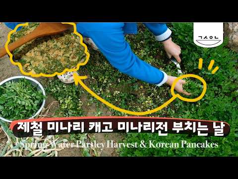 [광고]5월 봄 미나리전 엄마표 부침개｜5월 제철 봄 밥상, 다래순 무침 & 농막 밭일도 함께해요