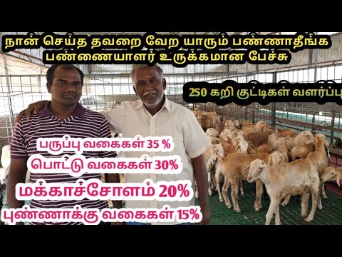 ## 5000 சதுர அடியில் 250 செம்பரி ஆடு வளர்ப்பு தீவன முறை மருத்துவ முறை விற்பனை முறை வேற லெவல் வீடியோ