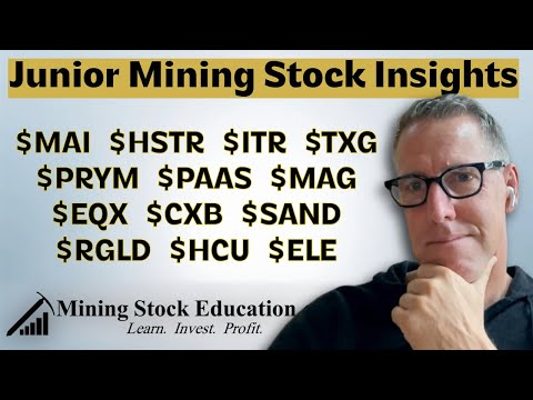 Junior Mining Stock Timely and Timeless Insights with Pro Investor Dave Lotan