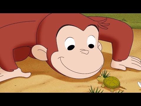 Curious George 🐵Curious George's Egg Hunt 🐵Kids Cartoon 🐵 Kids Movies 🐵Videos for Kids