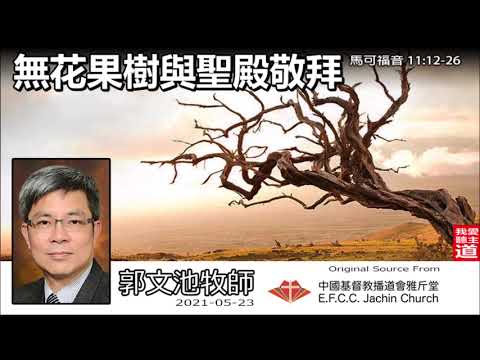 無花果樹與聖殿敬拜 (馬可福音11:12-26) - 郭文池牧師