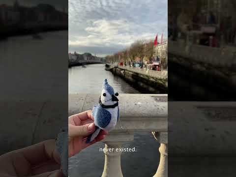 The bridge that bamboozled the Irish