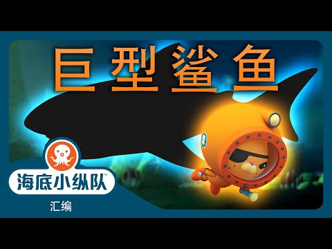 海底小纵队 - 🦈 巨型鲨鱼! 🦈 | 汇编 | 集完整版
