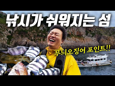 [Where: GO-Chujado] Patterned squid? It comes out when you throw it!