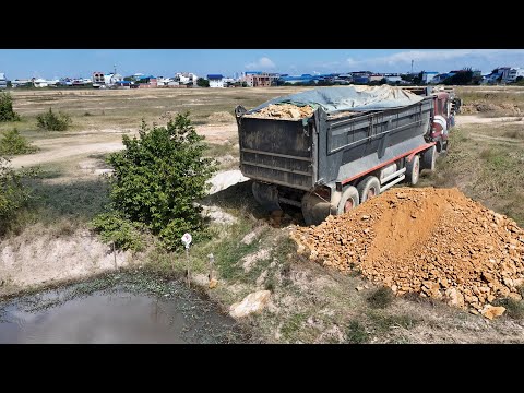 Great New Plan !! Nicely 25 5ton Truck dumping land and KomatSu Dozer Pushing