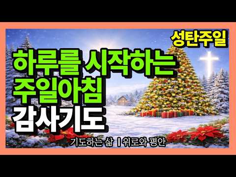 성탄 주일 아침, 감사로 하루를 여는 기도 ㅣ 주일아침기도 ㅣ 12월 셋째주일 아침 감사기도