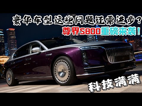 尊界S800自己下地下三层停到车位那一刻这钱花值了，百万豪车还有那些问题不足，究竟智能到何种地步！