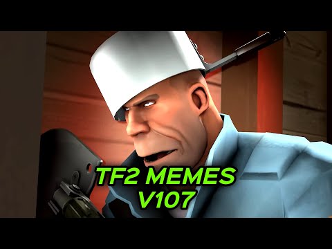 TF2 MEMES V107