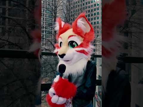 Do you have a fursona?