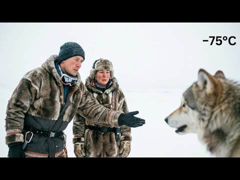 The couple Saved a Wolf at -71°C in Siberia | How Humans Survive the Coldest Place on Earth