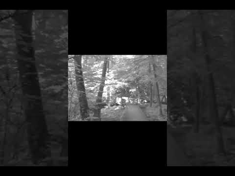 B&W CCTV Camcorder w/ flip lens