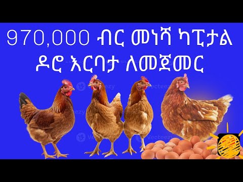 970,000 ብር መነሻ ካፒታል ዶሮ እርባታ ለመጀመር