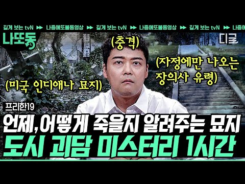 [#프리한19] (70분) 조작이 아닌 진짜 귀신??👻 등골 오싹한 공포 특집! 전 세계 괴담 총집합 모음 | #나중에또볼동영상