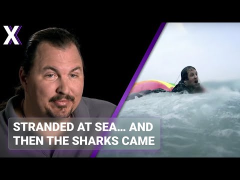 Plane Crash Survival in Shark-Infested Waters