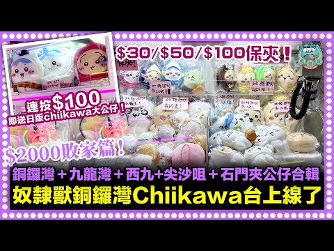 [夾公仔] 奴隸獸Chiikawa台上線了！銅鑼灣地帶2樓大夾俠！＄30/$50/$100保夾！連投$100送日版Chiikawa大公仔！香港九龍夾公仔中伏特輯！