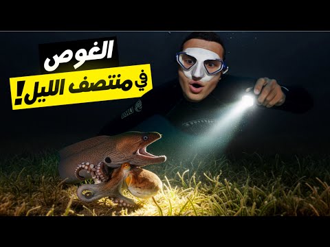 تحدي الغوص في أعماق البحر في الليل | قابلت مخلوقات بحرية مرعبة ما عمري شفتها !