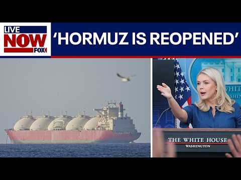White House says Strait of Hormuz is open