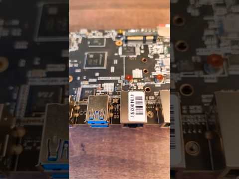 WrongDog Talks With You | RISC-V Development Boards