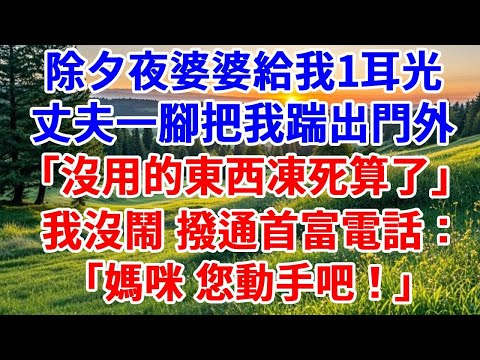 除夕夜婆婆給我1耳光，丈夫一腳把我踹出門外，「沒用的東西凍死算了」我沒鬧，撥通首富電話：「媽咪，您動手吧！」#詩涵講故事#為人處世#生活經驗#情感故事#晚年哲理#說故事#完結文#原創故事