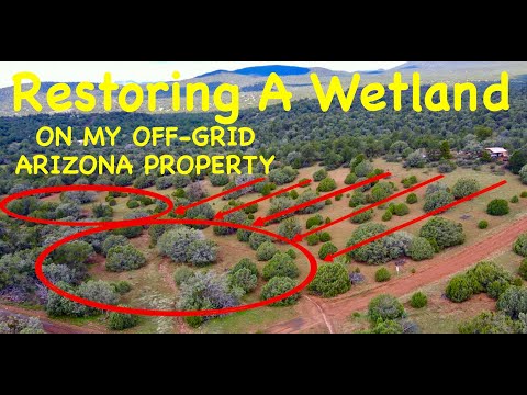 Restoring A Wetland On My AZ Property - RESULTS ON DAY 1!!  **Permaculture In The High Desert**