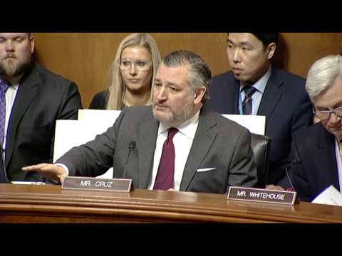 Sen. Ted Cruz Delivers Remarks on Fighting Fraud in Minnesota by Somali Scammers