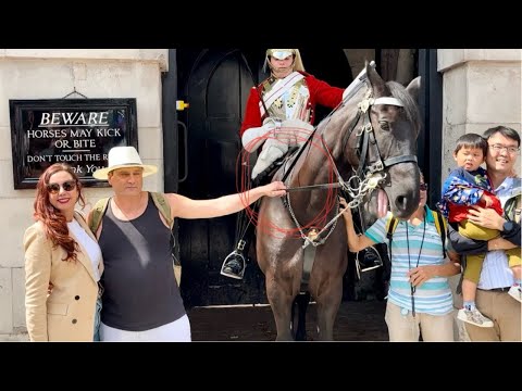 Disrespectful Tourists vs. Hilarious Horse Guard: You Won't Believe What Happens!"