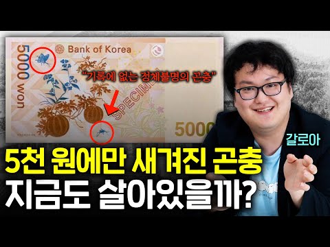 그림만 보고 기록에도 없는 5천 원 속 곤충을 알아낼 수 있을까? (아무도 모름...)