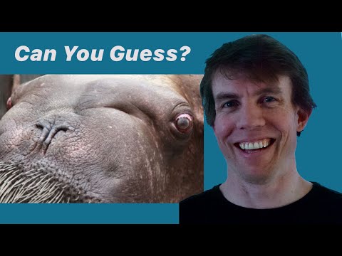 The most important article on software development ever