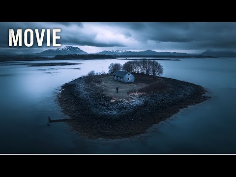 Dangerous adventure in the jungle 🎬 Torch 🎬 a finale you won’t be ready for