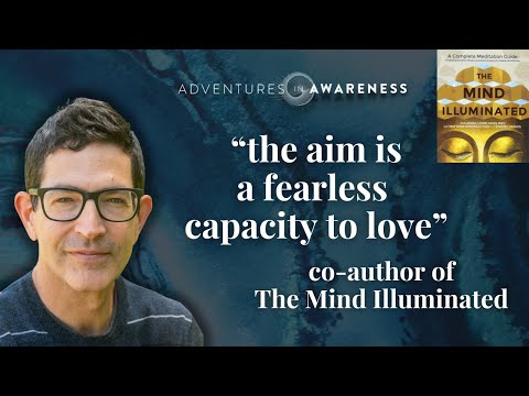 Matthew Immergut: The Mind Re-Illuminated - on Gurus, Practise & Awakening
