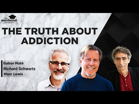 Gabor Maté, Richard Schwartz & Marc Lewis - Rethinking Addiction