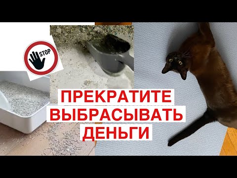 🔥YOU'RE USING CAT LITTER INCORRECTLY! 💰 The cheapest and cleanest way!