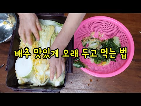 How to store cabbage deliciously