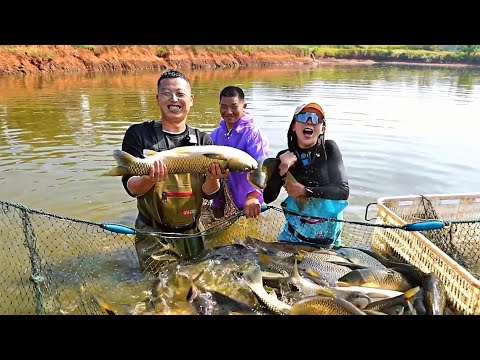 花21000包下口八年没干的鱼塘，看看究竟能赚多少#户外 #捕鱼 #三农 #农村生活 #捉鱼 #catchingfish #fishing #outdoor#rurallife