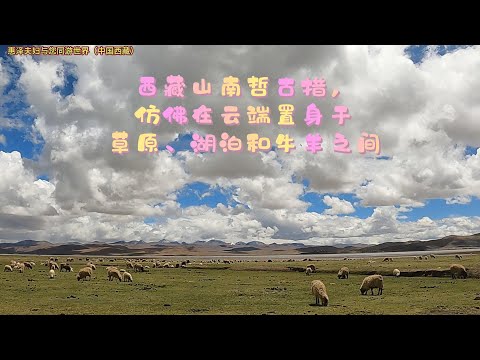 西藏山南哲古措，仿佛在云端置身于草原、湖泊和牛羊之间