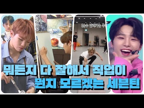 [세븐틴] 세븐틴은 직업이 뭐야?