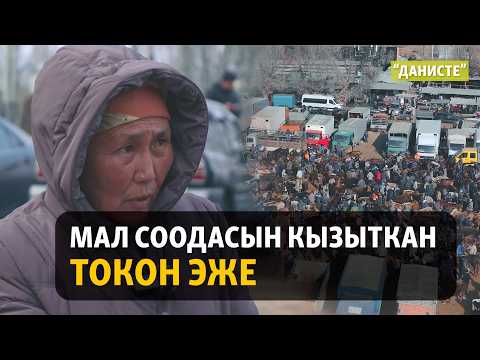 Төрт түлүктүн сырын билген Токон эже | "Данисте"