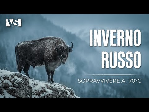 INVERNO ESTREMO IN RUSSIA | Sopravvivenza a -70°C nel Freddo più Brutale del Pianeta – Documentario
