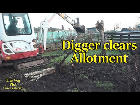 clearing allotment the easy way