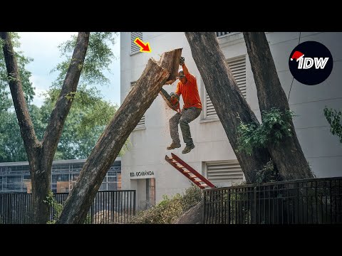 Moments When Things Went Wrong | Best of Month | Idiots At Work (P13)