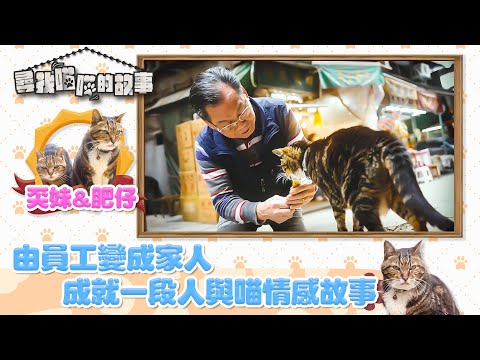 尋找喵喵的故事 ｜EP1 PT2｜ 由員工變成家人 成就一段人與喵情感故事｜ HOYTV