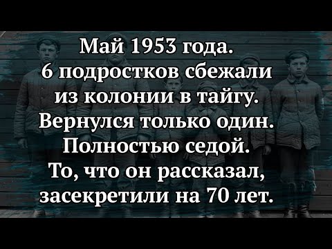 ПОСЕДЕЛ за одну ночь в 14 лет. Что немой мальчик ВИДЕЛ в тайге