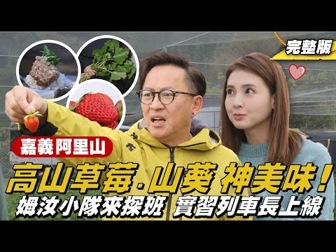 《詹姆士出走料理》嘉義.阿里山｜姆汝小隊來探班 實習列車長上線，宛如紅寶石高山草莓、牧師斜槓種山葵、濃郁誘人-車庫開煮 阿里山限定泡飯-第299集-2025/3/16