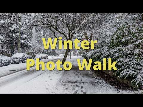 Winter Photo Walk