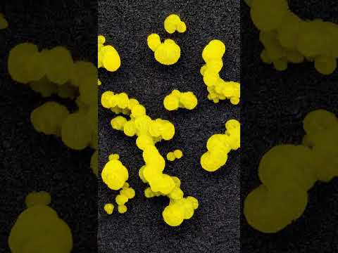 Slime Mold "Simulation" #shorts #stablediffusion