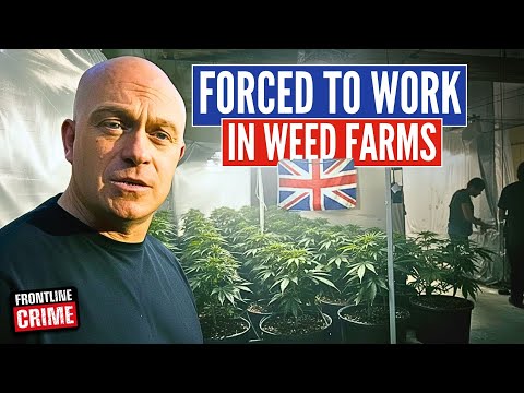 Human Traffickers Illegal Labour And UK Weed Farms Uncovered | Ross Kemp: Extreme World | S1 EP5
