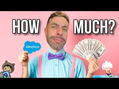 How Much I Earn as a Salesforce Consultant!