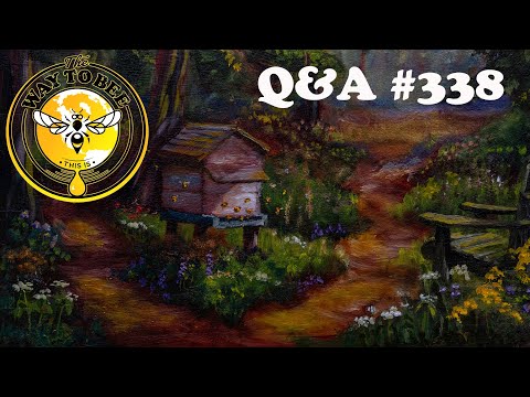 LIVE Chat Backyard Beekeeping Episode 338 December 26th