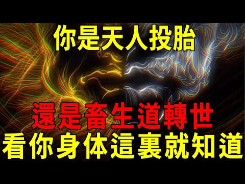 輪迴轉世天機洩露,你是天人投胎,還是畜生道轉世?看你這個地方全知道了!【曉書說】