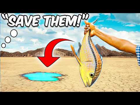 I Rescued These Fish and ( Other Creatures! )